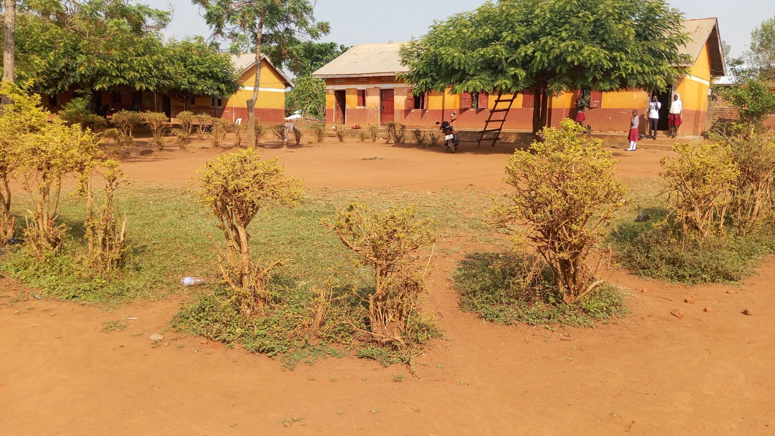 School campus
